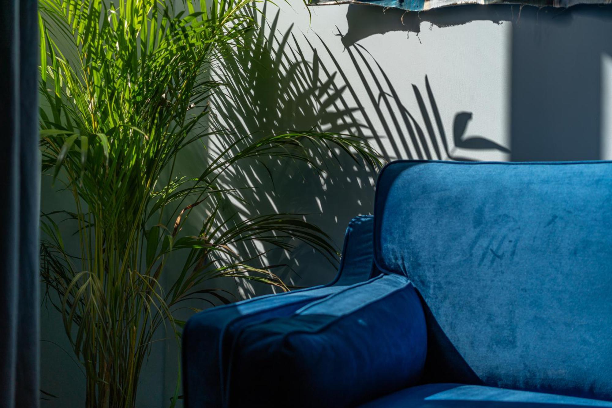 Le Bleu Jean Denim Arenes - Une Nuit A Nîmes Exterior foto